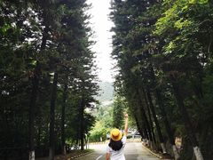 -大雁山风景区