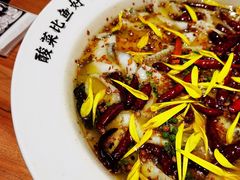 老坛子酸菜鱼-太二酸菜鱼(汕头苏宁广场店)