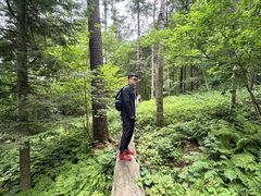 -五营红松林海景区