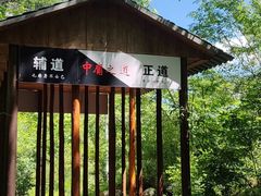 -青峰峡国家森林公园