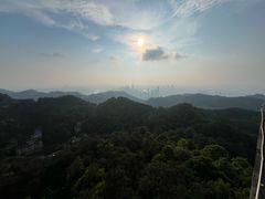 -大金鹰园