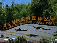 -西双版纳原始森林公园