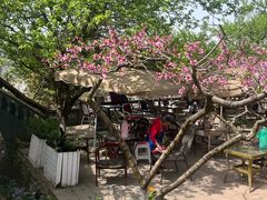 -桃源山庄·水蜜桃采摘·柴火鸡·烧烤团建(龙泉山店)