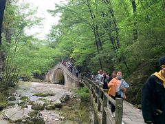 -牛背梁国家森林公园