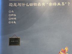 -北京周口店北京人遗址博物馆
