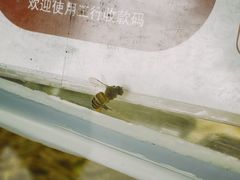 -王浩儿纪六孃甜皮鸭(乐山总店)