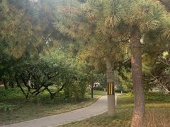 -元大都城垣遗址公园