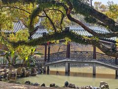 -江心屿景区