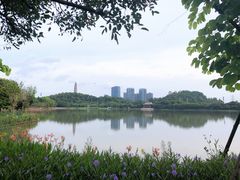 -顺峰山公园