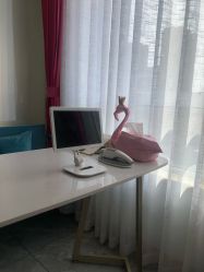 -归真美学颜究中心