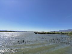 -野鸭湖国家湿地公园