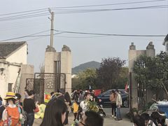 -苏州市吴中区光福窑上花果蜜饯厂