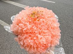 -朱光玉火锅馆(全国总店·金冠好店)