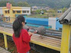 -宁波九龙湖开元度假村