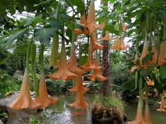 -南通洲际绿博园