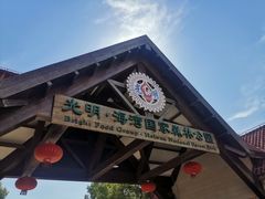 -上海海湾国家森林公园