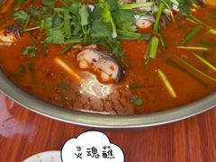 -宾川海稍鲜鱼店(第一家海稍鲜鱼店)