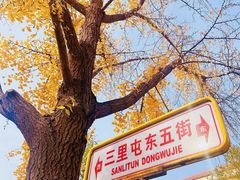 -三里屯东五街银杏大道