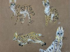 -蕃茄田艺术(普陀长风大悦城中心)