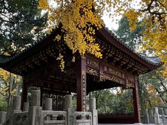 -汇龙潭