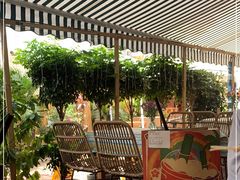 -半坡九号老挝冰咖啡