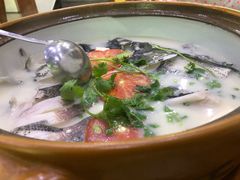 -全乐鱼馆·淳牌有机鱼直营店