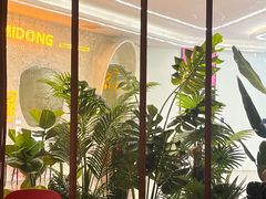 -三猫黑鱼花(南大店)