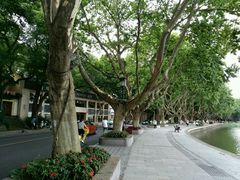 -杭州西湖风景名胜区-北街寻梦