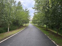 -宜兴龙背山森林公园