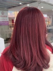 -镁连社·美联社