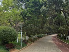 -洛龙公园