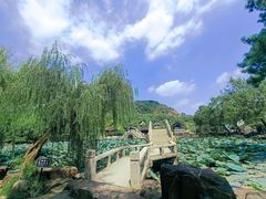 -灵岩山风景区