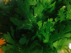 -海银海记潮汕牛肉火锅(新港中路海珠店)