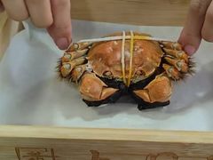 -黄记大闸蟹专卖店·活蟹·醉蟹