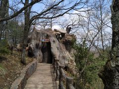 -塔云山