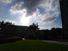 -中共上海市委党校 上海行政学院