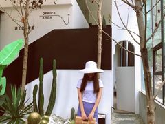 -桉树林A coffee 森林餐厅(三圣乡店)