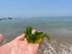 -大连金石滩国家旅游度假区