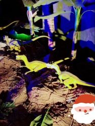 -恐龙探索乐园(磁器口店)