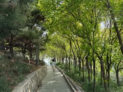 -河北省园博园