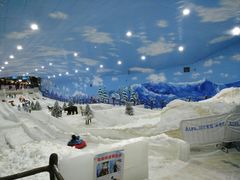 -世界之窗阿尔卑斯冰雪世界