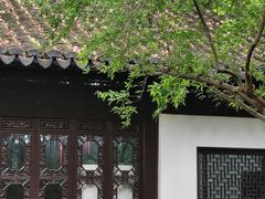 -上海醉白池公园