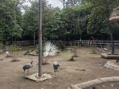 -哈尔滨北方森林动物园