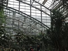 -南山植物园