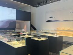 -BLACKSWAN黑天鹅(环球店)