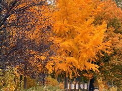 -元大都城垣遗址公园