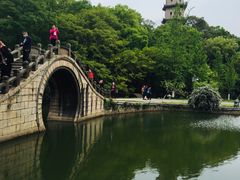 -江心屿景区