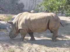 -新疆天山野生动物园