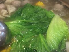 -陈记顺和潮汕鲜牛肉火锅(番禺迎宾大道店)