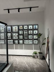 -酷嗒动物文化乐园(cutezoo西溪乐天城店)